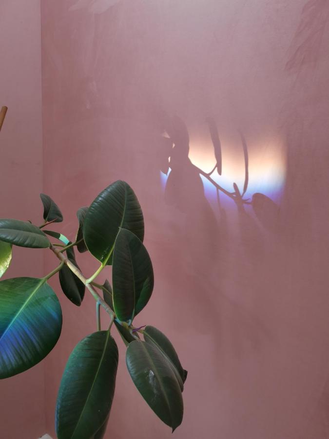 Jardin D'Hiver Cassel Suite De 70 M2 外观 照片
